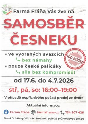 česnek